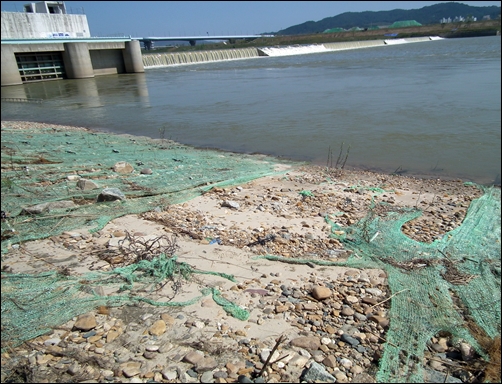 가짜 녹색을 그대로 보여주는 금강 세종보입니다. 이 대통령이 살려 놓은 금강은 흉물스런 누더기 걸레 조각이었습니다. 이러자고 25조 원를 강에 퍼부우셨군요. 