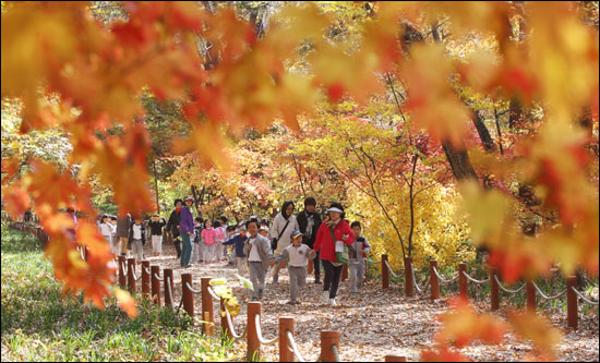  시월의 끝자락인 30일 천년의 숲인 경남 함양군 상림공원에 형형색색의 단풍이 물들자 나들이객들이 상림숲을 걸으며 늦가을 정취를 만끽하고 있다.
