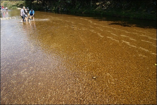 모래의 강 내성천은 누구에게도 전혀 위험하지 않은, 놀이터와 같은 강이다. 