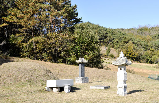 단독주택과 창고를 짓기 위한 행위허가 신청구역과 맞닿아 있는 충남 예산군 덕산면 옥계리 흥녕군묘.