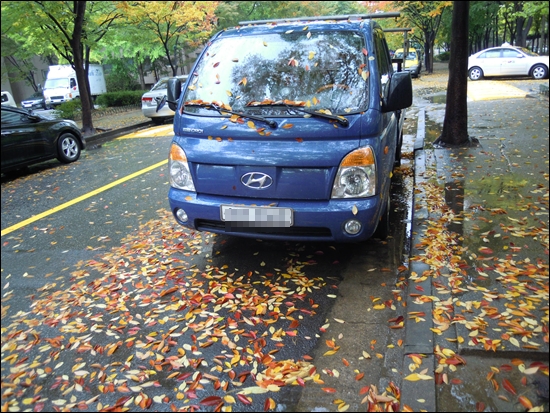비내리는 거리와 낙엽