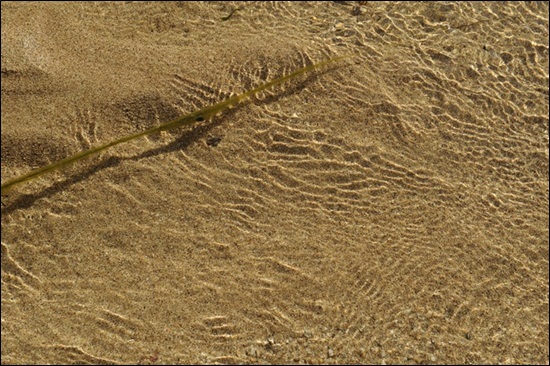 내성천은 모래의 강이다. 모래의 빛깔이 시간에 따라 다르다. 