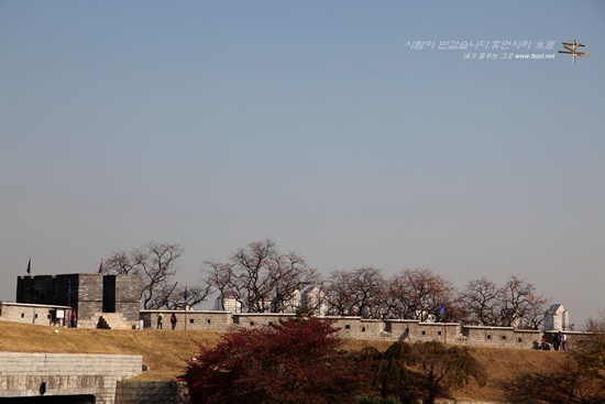 수원 화성의 동북노대 동장대(연무대)에서 동북공심돈으로 이동하면서 바라 본 동북노대와 수원성의 모습. 성곽 너머 감을 주렁주렁 매단 감나무가 정겹다.