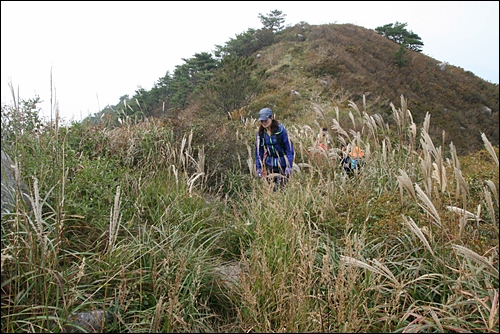  서상항에서 오르는 망운산은 억새와 어우러진 산길을 간다