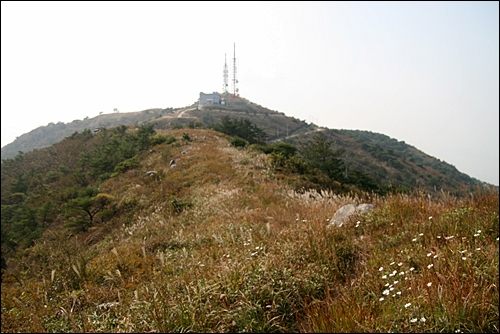  망운산 정상. 정상 주변은 들꽃이 어우러진 초원이 펼쳐진다.