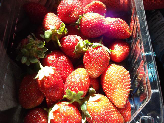 딸기 농장 앞에서는 딸기를 팔고 있습니다.