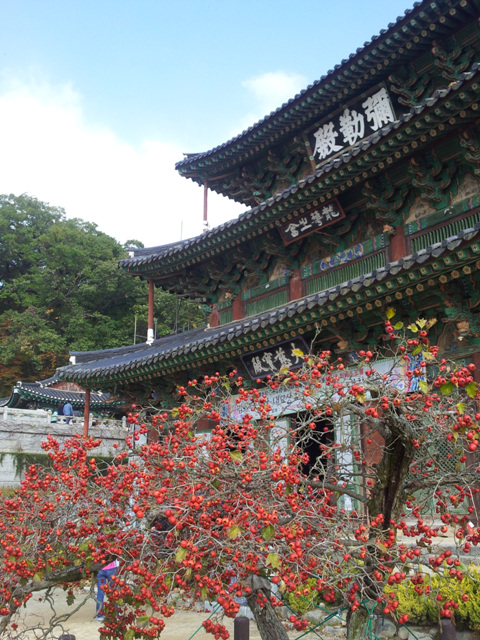 다층의 사찰 건축으로서 법주사의 팔상전과 함께 한국 건축사의 위대한 업적으로 꼽히는 국보 62호 미륵전.