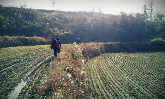 논둑길을 따라 걷고 있는 귀농인들. 다같이 살아가게 하는 힘도 못살게 하는 힘도 사람들과의 관계에서 나온다. 