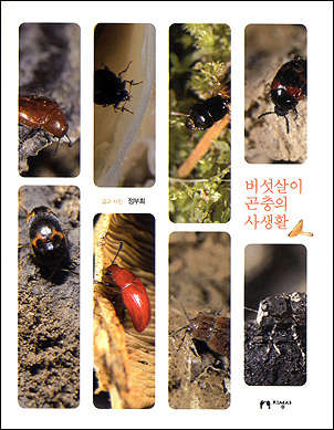 <버섯살이 곤충들의 사생활> 표지 사진