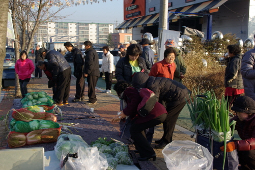 안성농민들과 안성시민들이 핝리에 모여 직거래 김장시장 한마당을 펼치고 있다. 이걸 계기로 앞으로 내년 4월에 봄채소 직거래 시장을 할 계획이라고 안성농민회장 김종석 씨가 밝혔다.