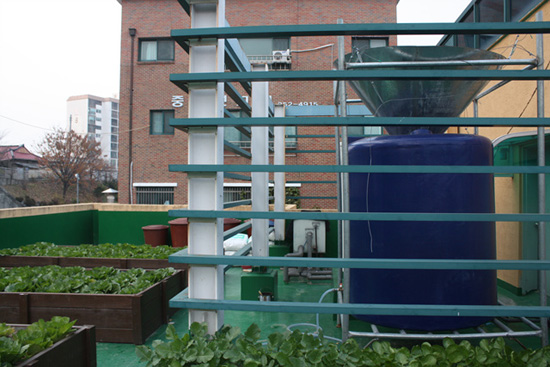 옥상 텃밭은 빗물저장탱크에 모인 빗물을 이용한다.
