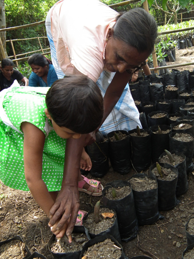 맹그로브 복원 활동을 벌이는 스리랑카 나게나히루 재단은 마을 주민을 직원으로 고용해 일자리를 만들고, 주민들을 복원 사업 과정에 참여시켜 주민 생계에 도움을 주고 있다. 맹그로브 숲 복원이 환경도 사람도 살리는 방법이다. 