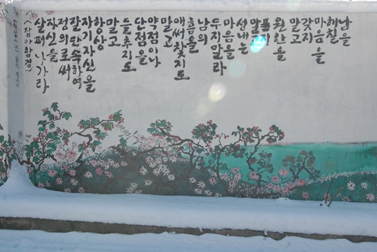 눈이 내려 쌀이자 벽화가 마치 눈 속에 핀 꽃과 같다