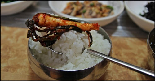 하얀 쌀밥에 고들빼기김치를 올려 먹으니 입맛이 싸하고 동한다.
