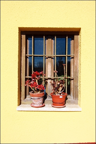 봄이 오는 것만 같은 따스한 날에 어느 집 창문.