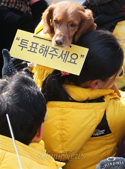  11일 오전 경기도 고양시 동구 라페스타 미관광장에서 열린 문재인 민주통합당 대선후보 유세장에 투표참여를 독려하는 글귀를 목에 건 애완견이 등장해 눈길을 끌고 있다. 