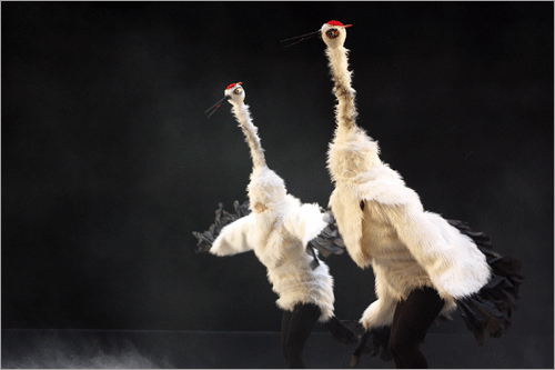 새의 움직임을 춤으로 표현한 학춤 광경. 이 작품에는 유지영과 김정현 벽파춤연구회원들이 참여했다.