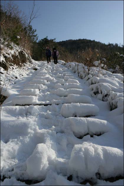 사성암을 품고 있는 오산의 숲길. 나무데크에 눈이 소복이 쌓여 있다.