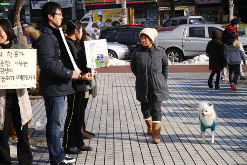 안양실내체육관에서 투표독려 피켓팅을 하고 있다.