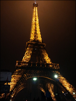 에펠탑의 야경입니다.