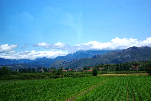알바니아의 농촌 풍경은 한국과 매우 흡시하다. 초록빛 농경지와 산, 푸른 하늘이 늦여름 한국 풍광과 크게 다르지 않다.