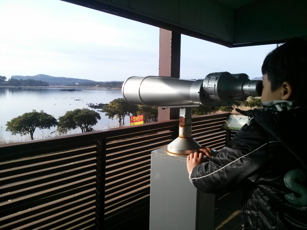 사람들이 망원경으로 철새들을 관찰할 수 있도록 망원경이 있었다. 