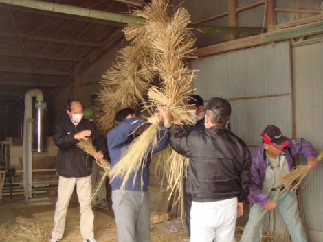 　　마을사람들이 산신제에 사용할 금줄을 볏짚으로 꼬고 있습니다. 시가현 산신제는 벼농사의 풍년을 기원하는 뜻에서 지냅니다. 반드시 볏짚으로 만든 금줄과 츠도가 제물로 사용됩니다. 
