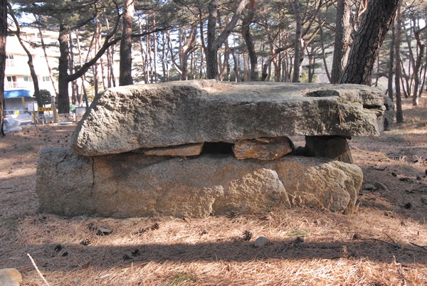 화진포 콘도 입구 앞에 있는 지석묘. 크기가 상당하다. 이 일대에만 5기의 고인돌이 있다 