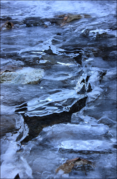 한파에 얼음은 져도 냇물은 흐르기를 멈추지 않는다. 주남천이 광주천과 합류하기 위해 얼음장 밑을 흐르고 있다.