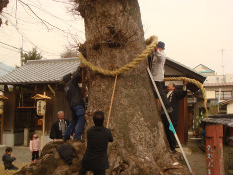 마을 사람들이 신목에 금줄을 치고 있습니다. 신목은 구스노기라고 하는 녹나무로 이백 년 정도 되었습니다. 금줄은 길이가 8 미터로 동쪽으로 매듭을 만들어서 묶어놓습니다. 