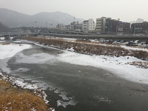 최근 날씨에 따라 안양천의 물은 녹았가 얼었다를 반복하고 있다.