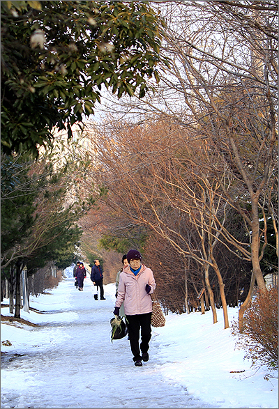 남광주역은 사라졌지만 시민들은 도심철도 폐선 부지를 숲과 산책로 만들었다. 한국 최초 일이다.