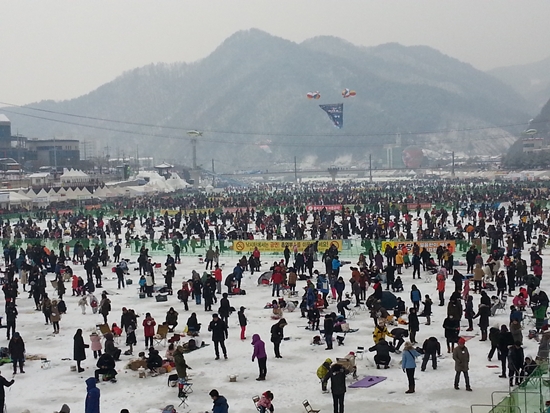 2013 얼음나라 화천 산천어축제장엔 130여만명의 관광객이 찾았다.