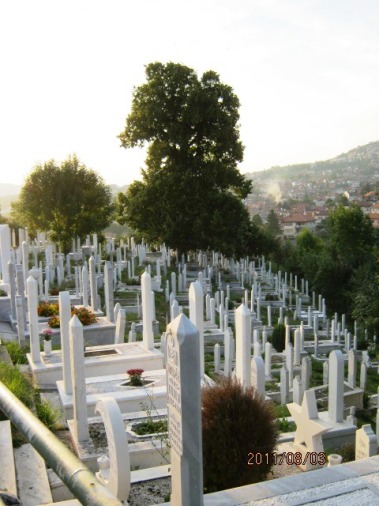 사라예보의 묘지. 다가가 살펴보면 같은 날 사망한 이들이 적지 않다. 내전 당시의 학살 탓이다. 