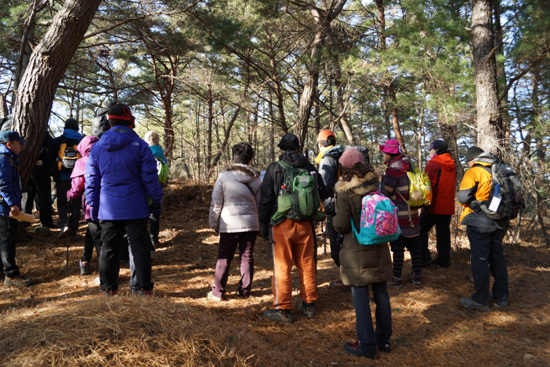 전삼화령 불상출토지 전삼화령 불상출토지