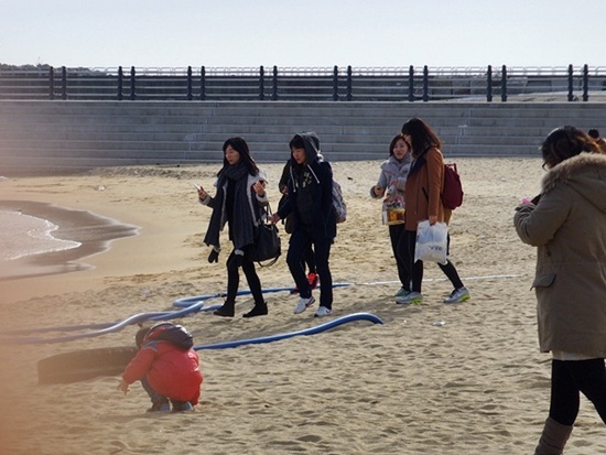 2월 3일 찾아간 청호동 바닷가에는 젊은이들이 찾아와 즐기고 있다 