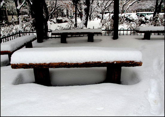 눈이 수북이 쌓인 빈의자 