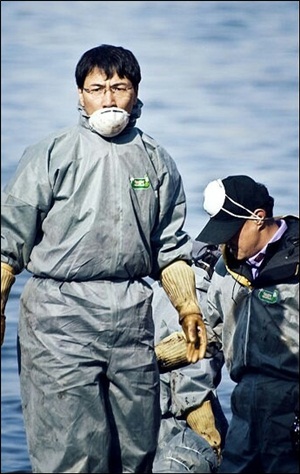 안희정 충남지사가 지난 2007년 서해안기름유출 사고 당시 태안을 찾아 자원봉사활동을 하고 있다.  