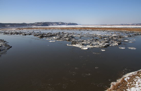 얼음으로 덮였던 임진강도 얼음이 녹아 물길이 드러났습니다. 