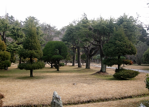  다양한 종류의 수목이 울창한 중앙공원.
