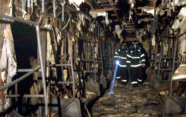 지난 2003년 2월 18일 대구지하철화재참사가 난 후 소방관이 열차의 잔불을 제거하고 있는 모습.