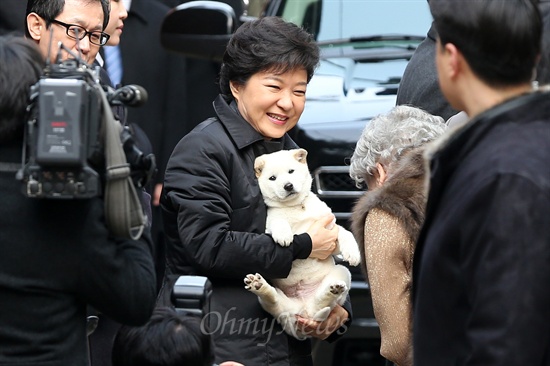 제18대 박근혜 대통령 취임식이 열리는 지난 2013년 2월 25일 오전 박 대통령이 취임식장에 가기 위해 서울 강남구 삼성동 자택에서 나와 시민들로 부터 진돗개를 선물 받고 있다.