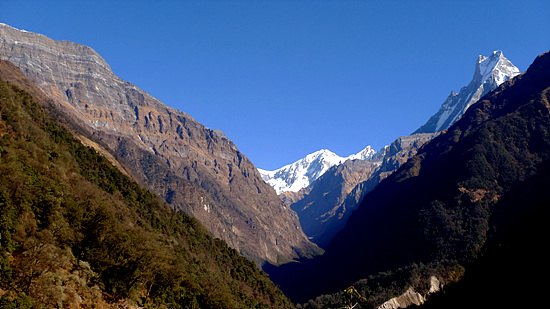 안나푸르나와 마차푸차레 사이 계곡