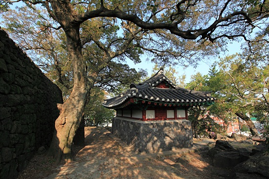 오현단은 그나마 옛 제주성과 오래된 나무들이 있어 신성한 기운이 넘친다.