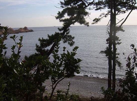  울산대왕암공원 내에 있는 울산교육연수원에서 바라본 동해바다. 소나무를 배경으로 사진 왼쪽 위에 전설이 깃든 대왕암이 보인다