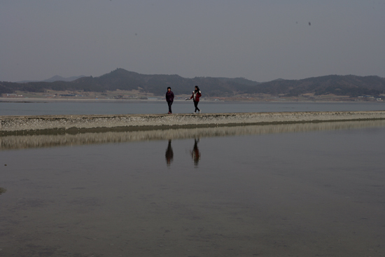 돌머리 해안의 인공풀장 모습. 풀장 둑 위로 사람들이 걷고 있다.