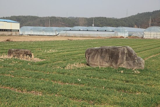 원효암에서 군북역으로 걸어오면서 만난 동촌리 고인돌, ‘칠연정’이라고 새겨진 제7호 고인돌에는 65개 정도의 ‘알구멍’이 있다. 