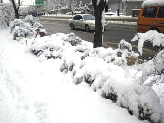 지난 겨울 서울에 많은 눈이 내렸다. 12월 28일 대구에도 폭설이 내렸지만 제설장비·인력 투입지연 등 초기대응 미흡으로 신천대로 등 주요 간선도로에서 극심한 교통마비 현상이 발생했다. 