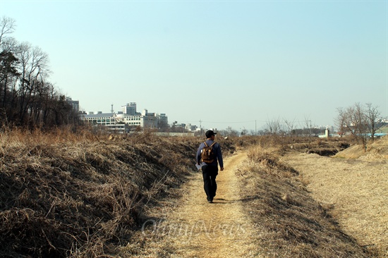  시흥늠내길 숲길은 장현천을 따라 시흥시청까지 이어진다.