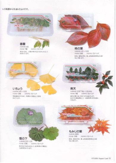 600여가지에 이르는 오오야마의 상품중에는 이런 나뭇잎도 버젓이 한자리 하고 있다. 어디에 쓰일까. 대도시의 요리점에서 쓰인다고.